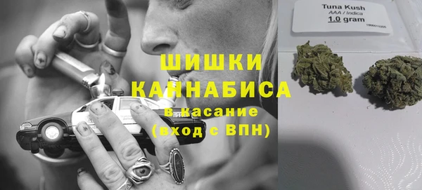 индика Беломорск