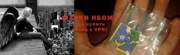 индика Беломорск