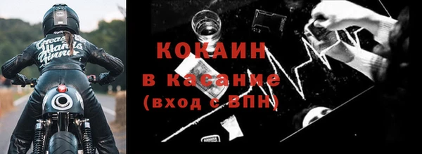 индика Беломорск