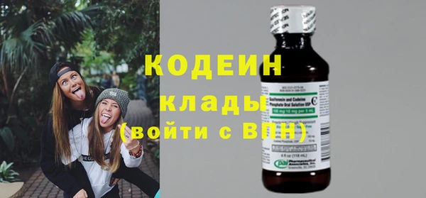индика Беломорск