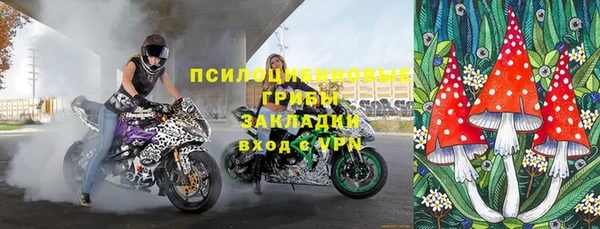 таблы Белокуриха