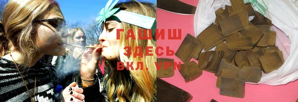 индика Беломорск