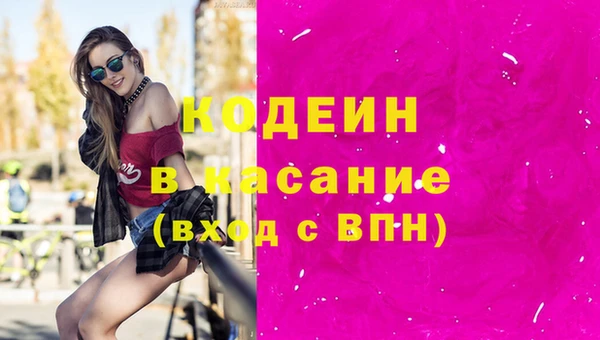 индика Беломорск
