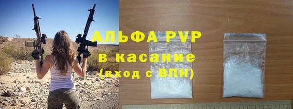 индика Беломорск
