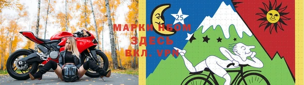 ПСИЛОЦИБИНОВЫЕ ГРИБЫ Белоозёрский