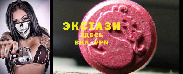 индика Беломорск
