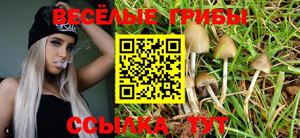 Псилоцибиновые грибы ЛСД Лыткарино