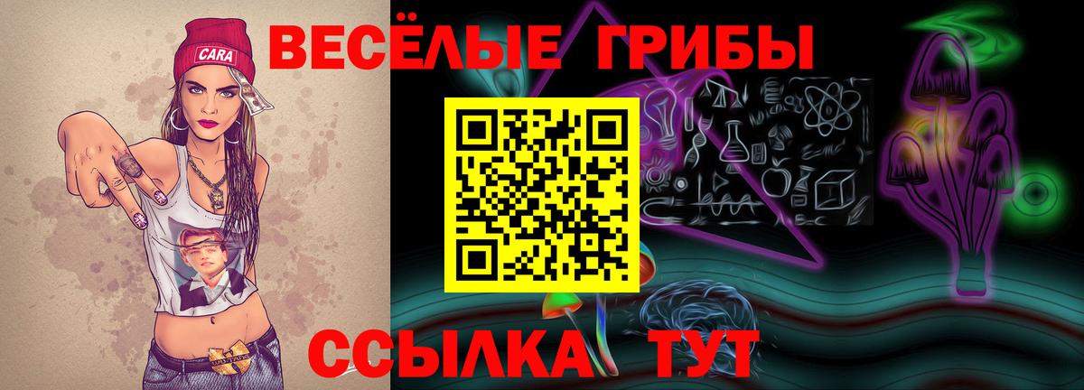 наркотики  Вход с VPN  Галлюциногенные грибы прущие грибы  Лыткарино  Псилоцибиновые грибы Psilocybine cubensis 